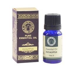 Song of India essential oil - Eucalyptus