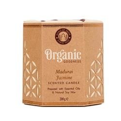 Song of India soy scented candle - Madurai Jasmine
