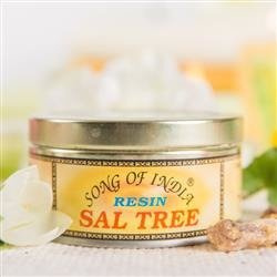 Song of India fragrance resin - Sal Tree